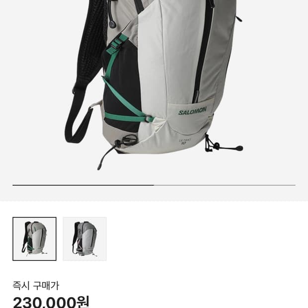 살로몬 울티모 LT 백팩 크림