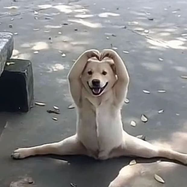 구매)) 스태판쿡 솔리드옴므 데님