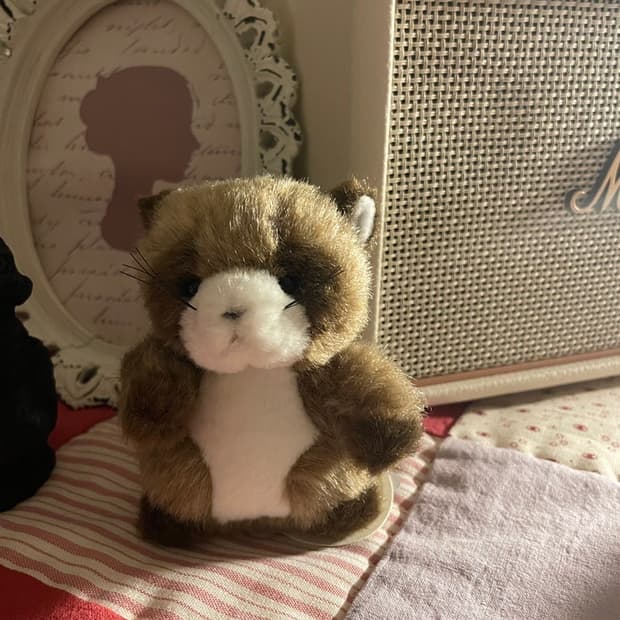 일본빈티지인형 너구리키링