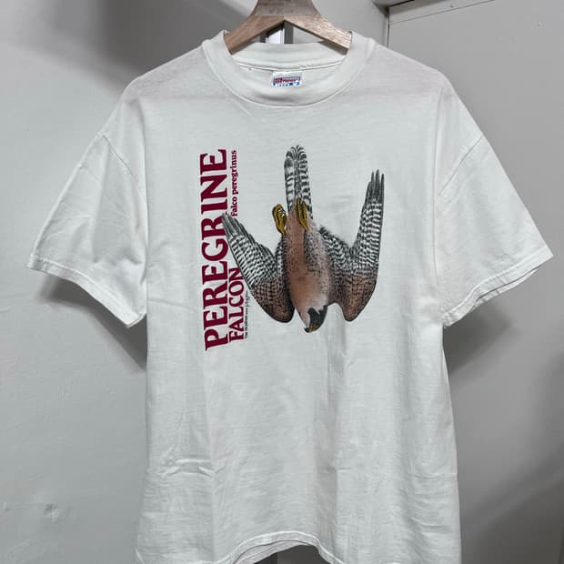 90s vintage hanes falcon t