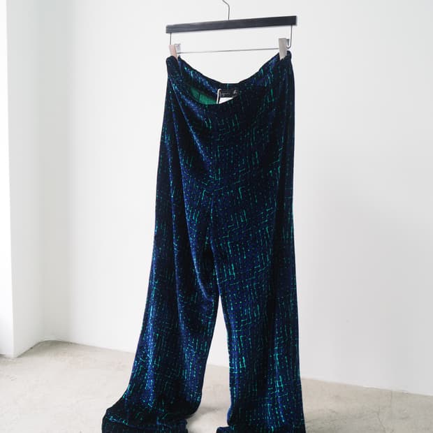 agnes b. velour pants 