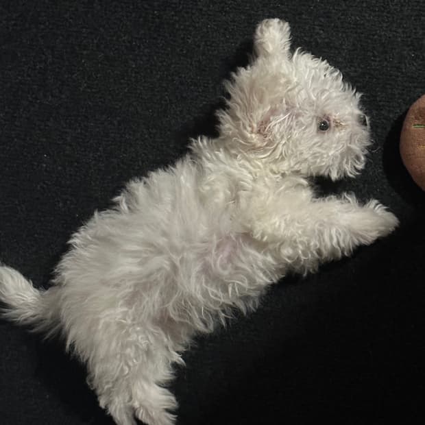 열방이카겨여여열