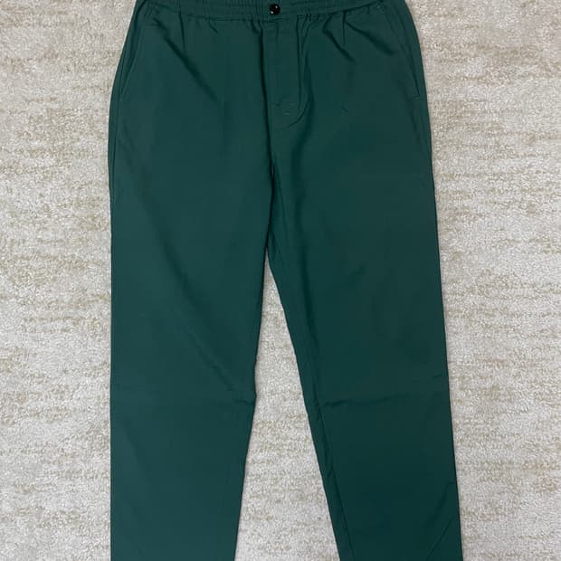 [L] STUSSY 스투시 브라이언 팬츠 그린 컬러