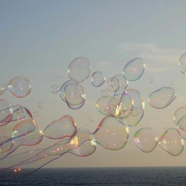 wosowsx님 결제창