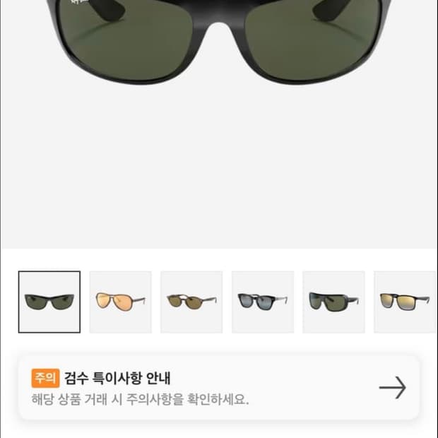 레이벤 폴리쉬드 블랙 프레임  그린클래식