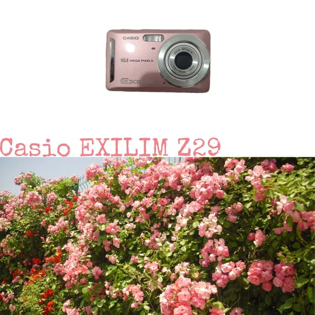 Casio Z29