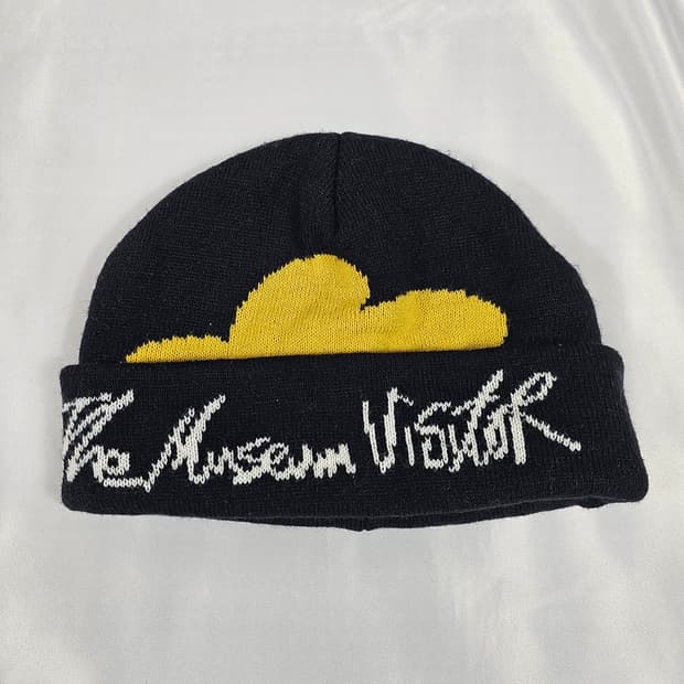 더뮤지엄비지터비니