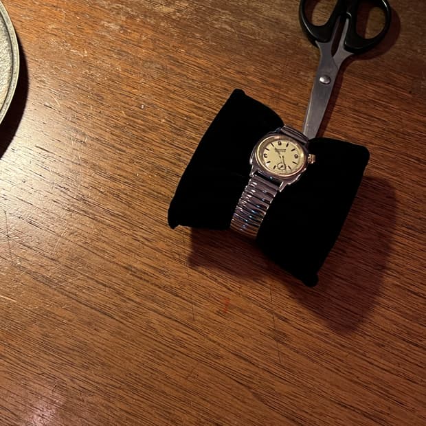 솔로이스트 바그워치