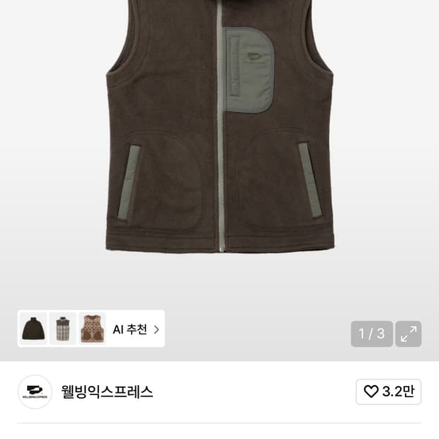 웰빙 익스프레스 Fleece Vest Brown - M