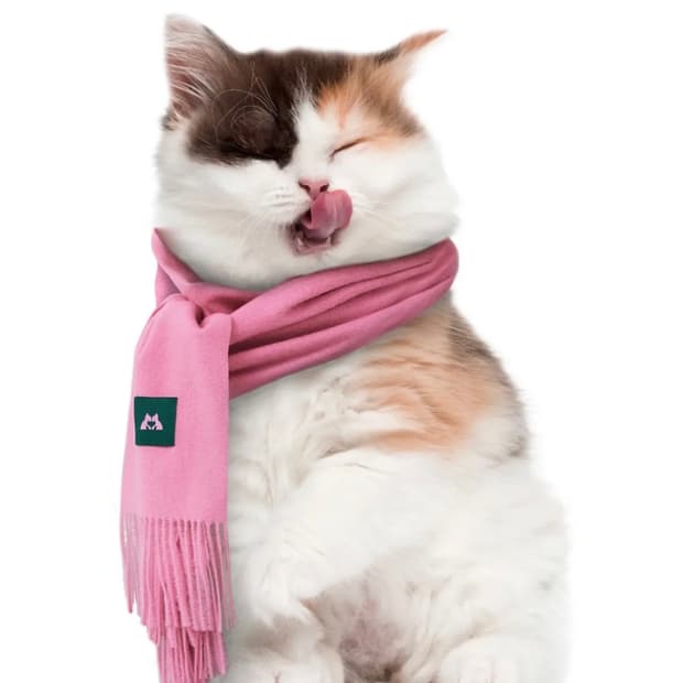 잇자바이브 나의 고양이가 좋아하는 머플러
