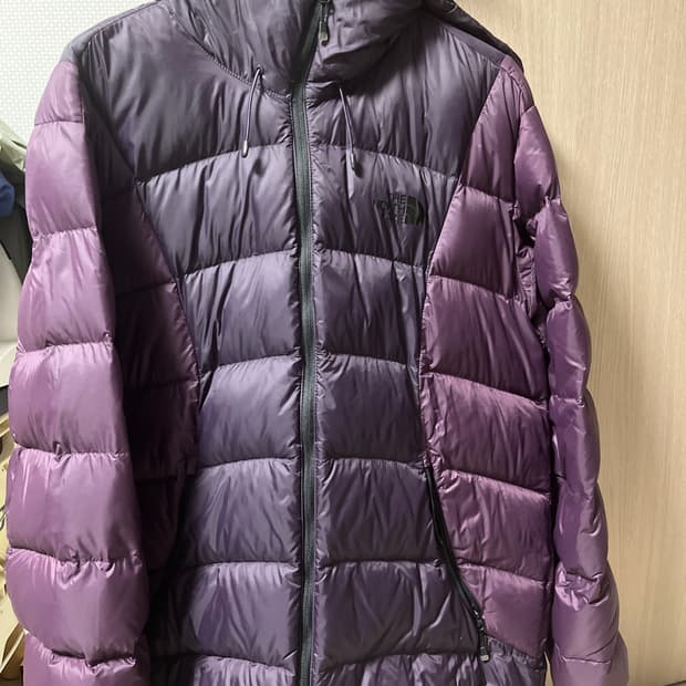 노스페이스 루타 다운 L