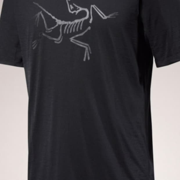 아크테릭스 이오니아 메리 올로고 셔츠ss맨