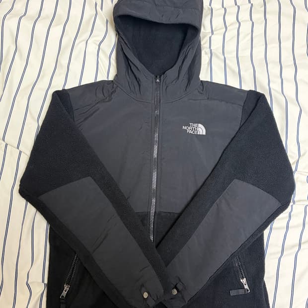 해외판 노스페이스 데날리 후드자켓