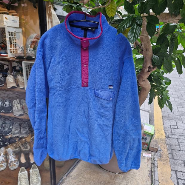 Z-31 파타고니아 신칠라 