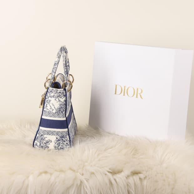 크리스찬 디올 디라이트 백 미듐