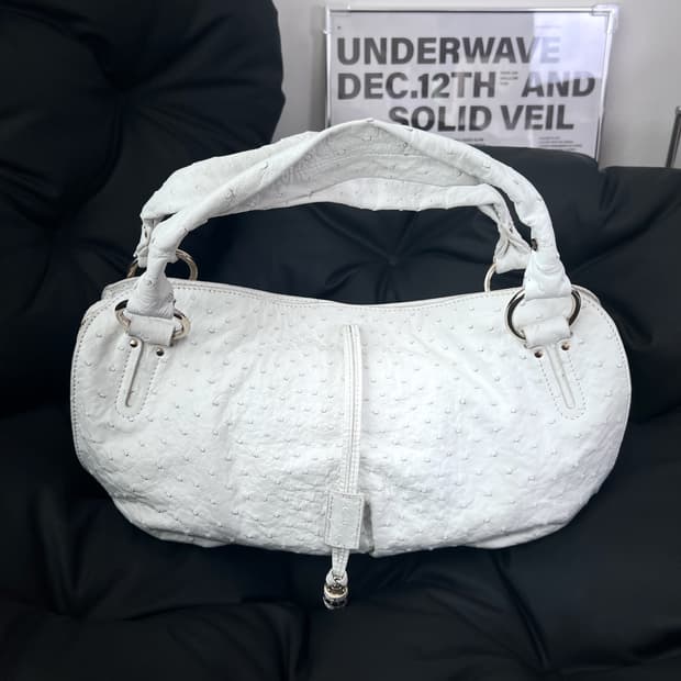 셀린느 타조 엠보 호보백