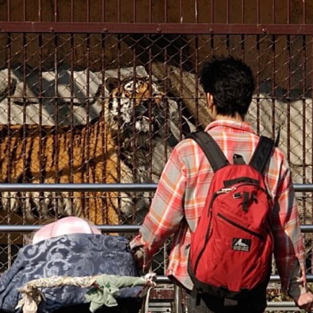 gregory backpack 90s red