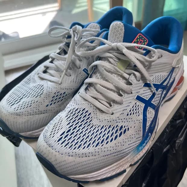 아식스 젤카야노26 265