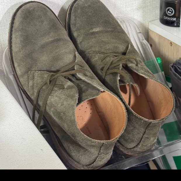 아스토플렉스 그린플렉스 270