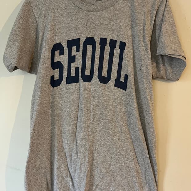 브랜디멜빌 서울티 seoul 핀터깔 y2k