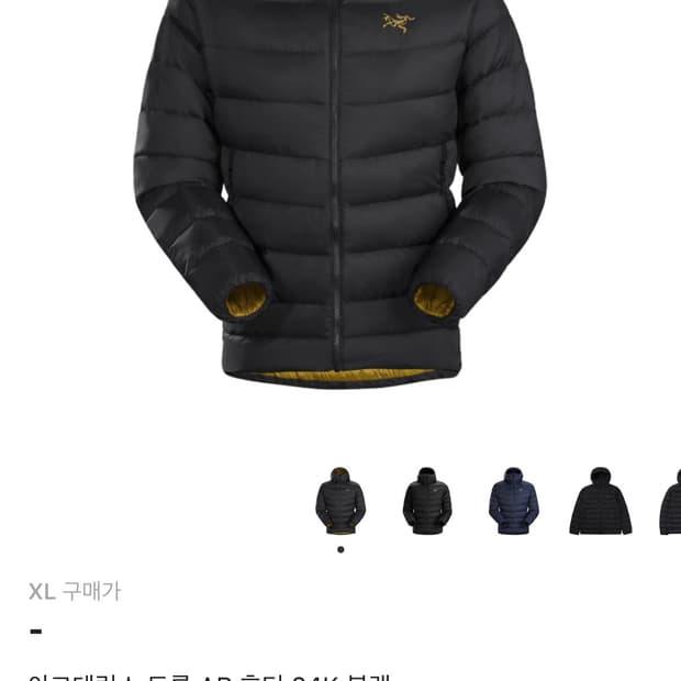 아크테릭스 토륨팝니다