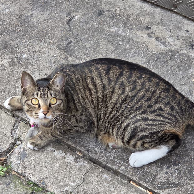 금토일 3일간 급처해봅니다