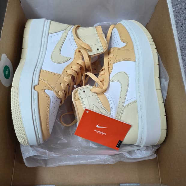 나이키 에어 조던 1 엘리베이트 하이 250mm