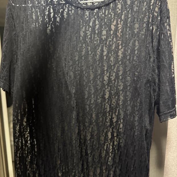 디올 시스루 반팔 