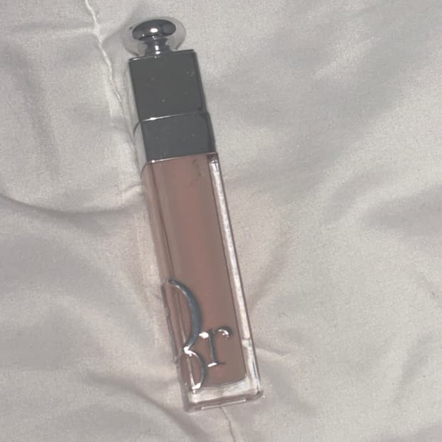 디올 립 맥시마이저