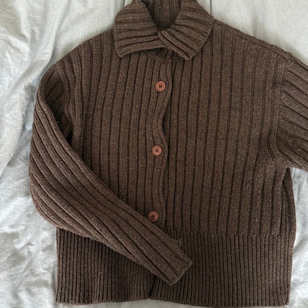 브라운 가디건
