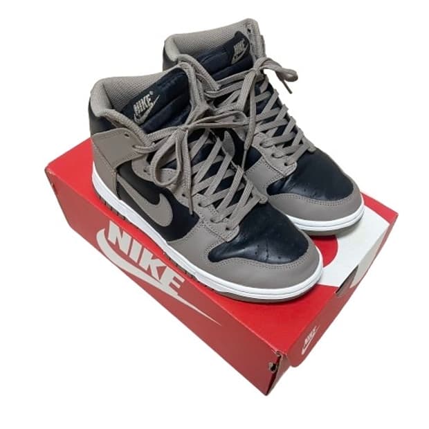 Dunk High Moon Fossil (W245)