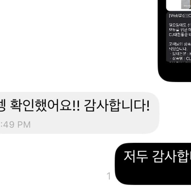 폴로 랄프로렌 빅포니 성조기 후드집업