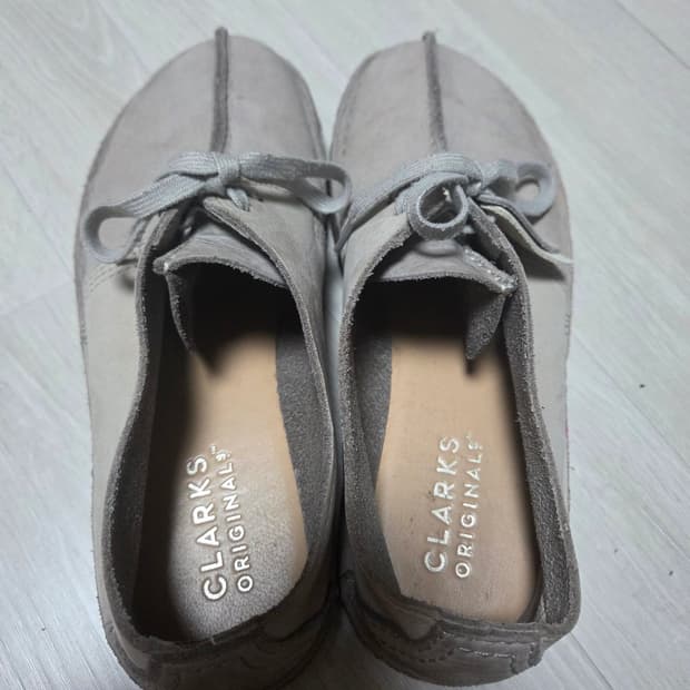 [265] 클락스 왈라비