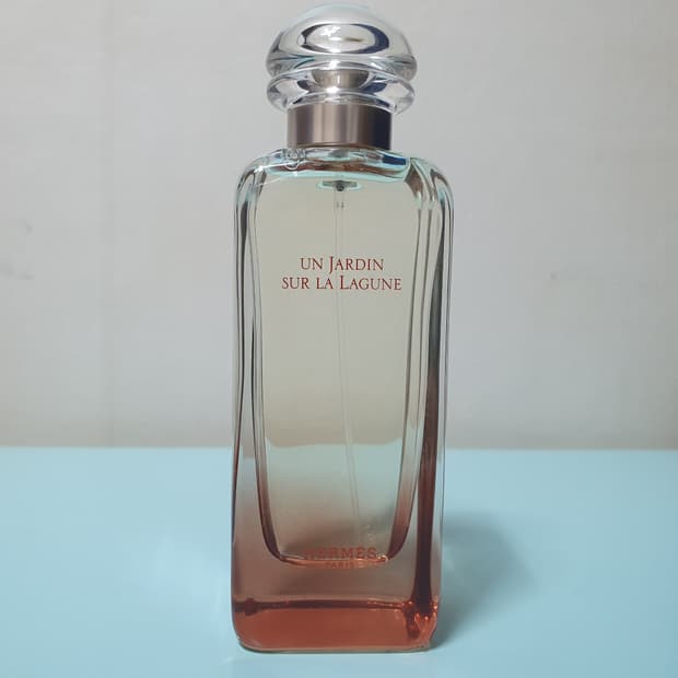 에르메스 운자르뎅 수 르 라 라군 EDT 100ml 향수 Hermes 수