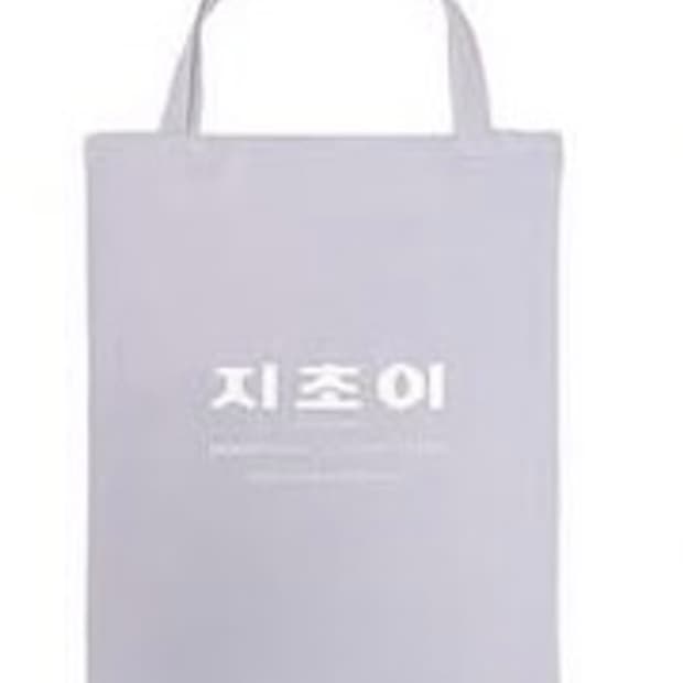 지초이 쇼퍼백 새상품