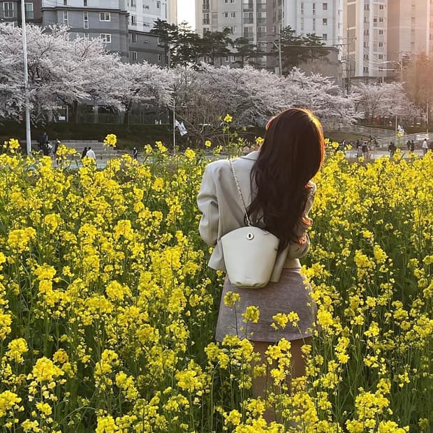 코이무이 가비백