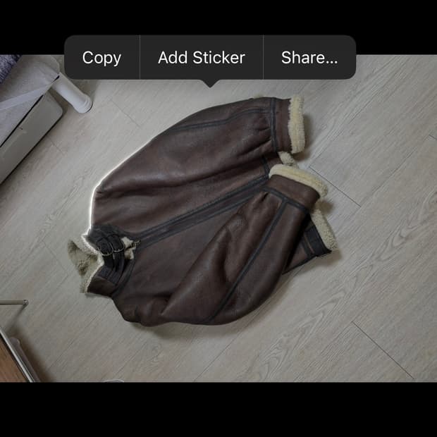 B-3 양가죽 무스탕 자켓