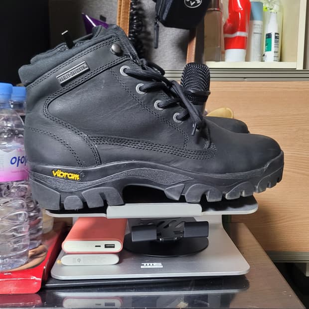 할리데이비슨 워커