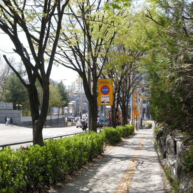 니콘 쿨픽스 p5100(작례0)