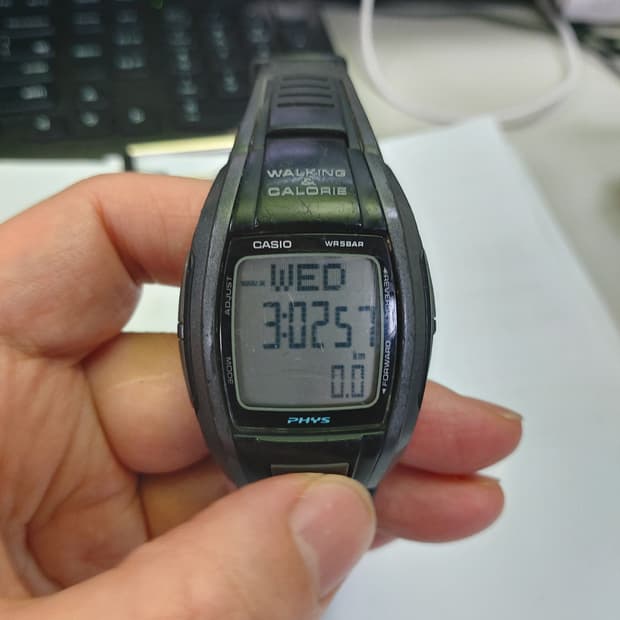 카시오 PHYS 워킹 칼로리 시계
