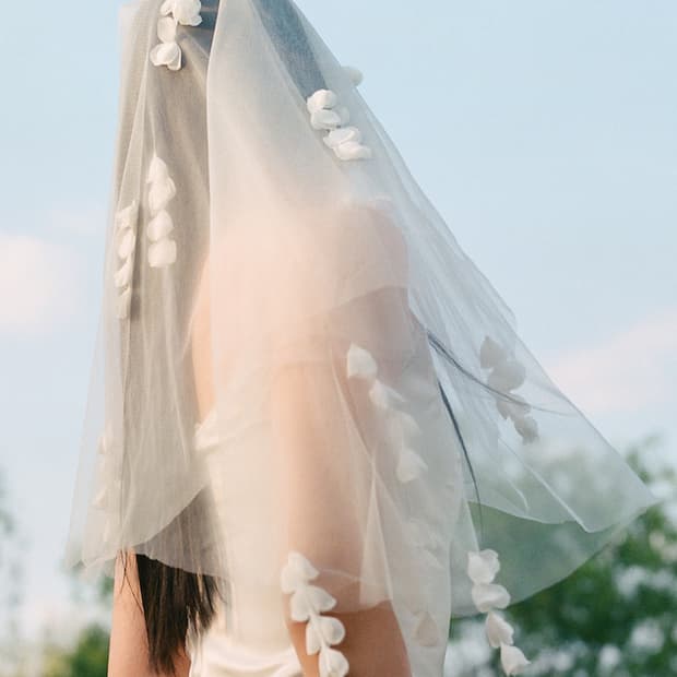 포지 acasia flower veil