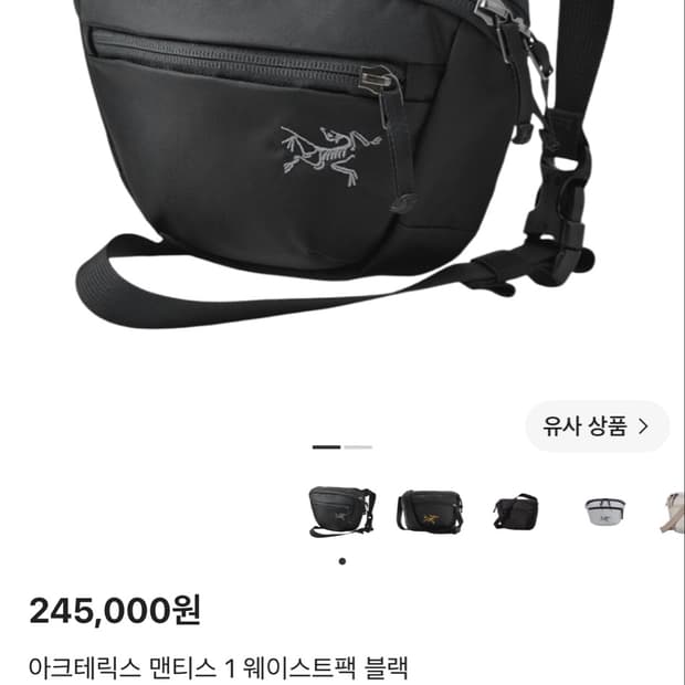 아크테릭스 맨티스 1 웨이스트팩 블랙