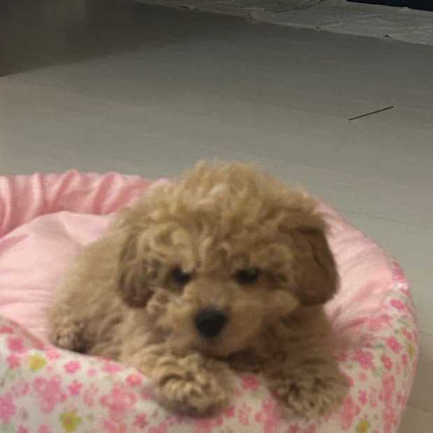 세일 & 배송업무 공고