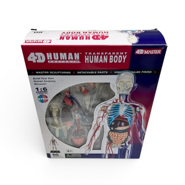 4D Human Anatomy figure 2008 2종