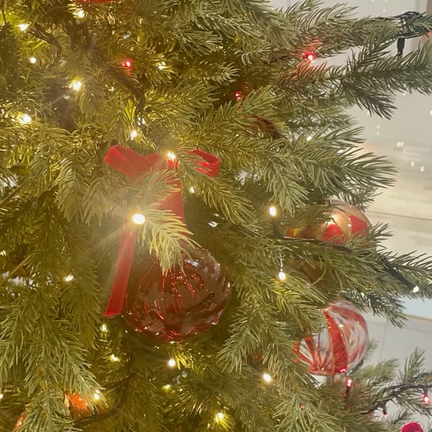 🎄피드 코디셋 균일가 50000원🎄