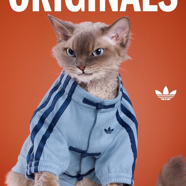 아디다스 강아지 고양이 옷 중티다스