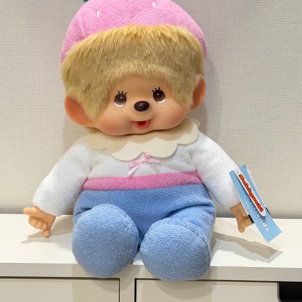 스위트슈가 몬치치 라지사이즈