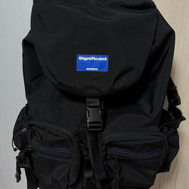 아더에러 시니그피컨트 백팩