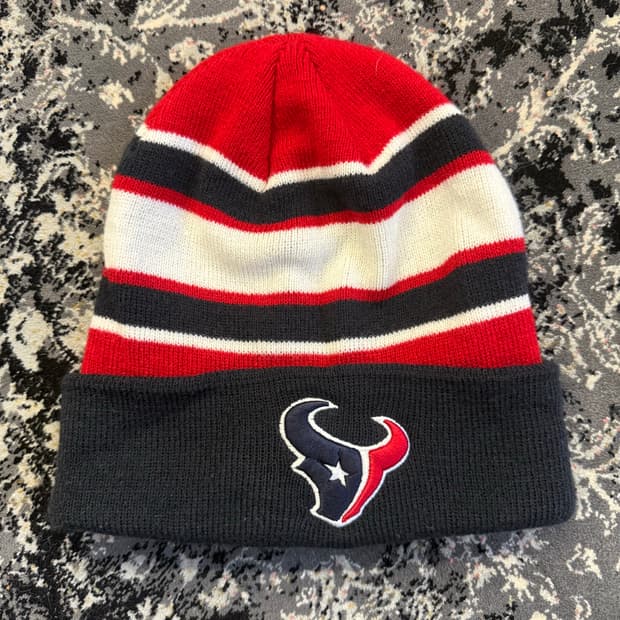 NFL 휴스턴 비니