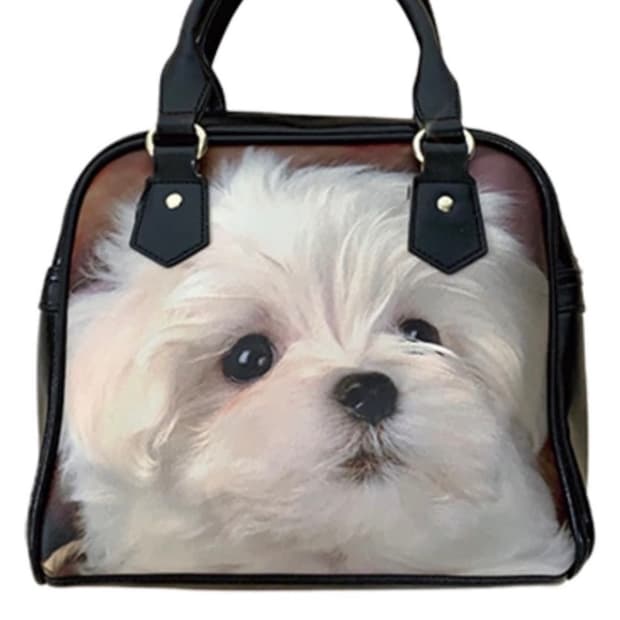 허자보이 puppy leather bag 퍼피레더백